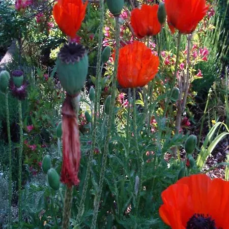 Haus 公寓 梅尔斯堡