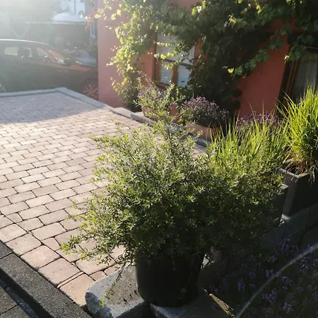 Haus Apartment